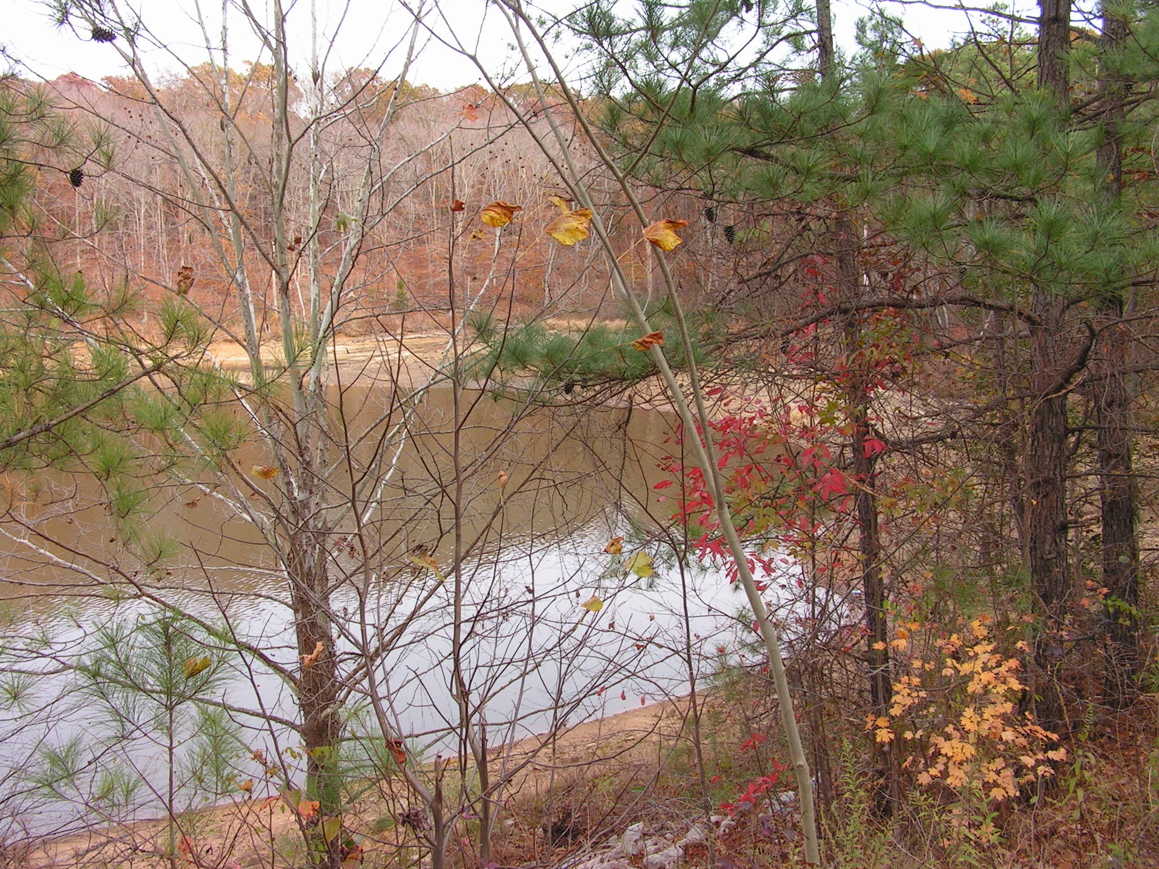 ./2005/Falls Lake Low Water/Fall Lake low nov 0030.JPG